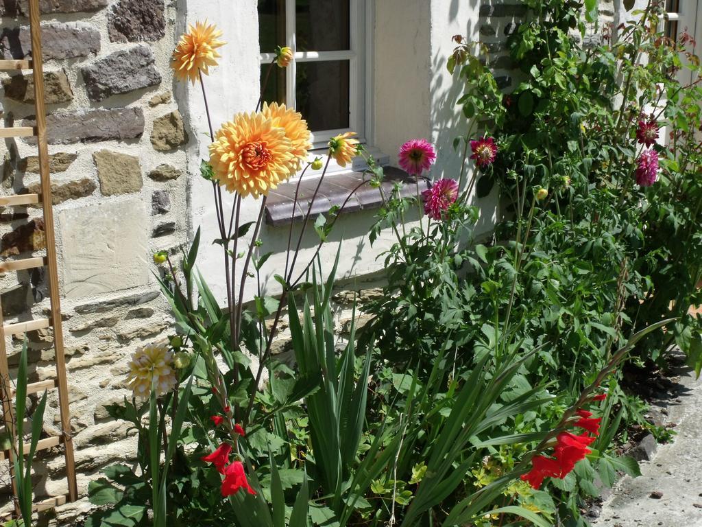 B&B La Beauconniere Lamberville  Luaran gambar